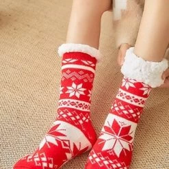 Confort Paradis -Confort Paradis 28ba60b0 a329 4322 abb1 0eca49da9d44