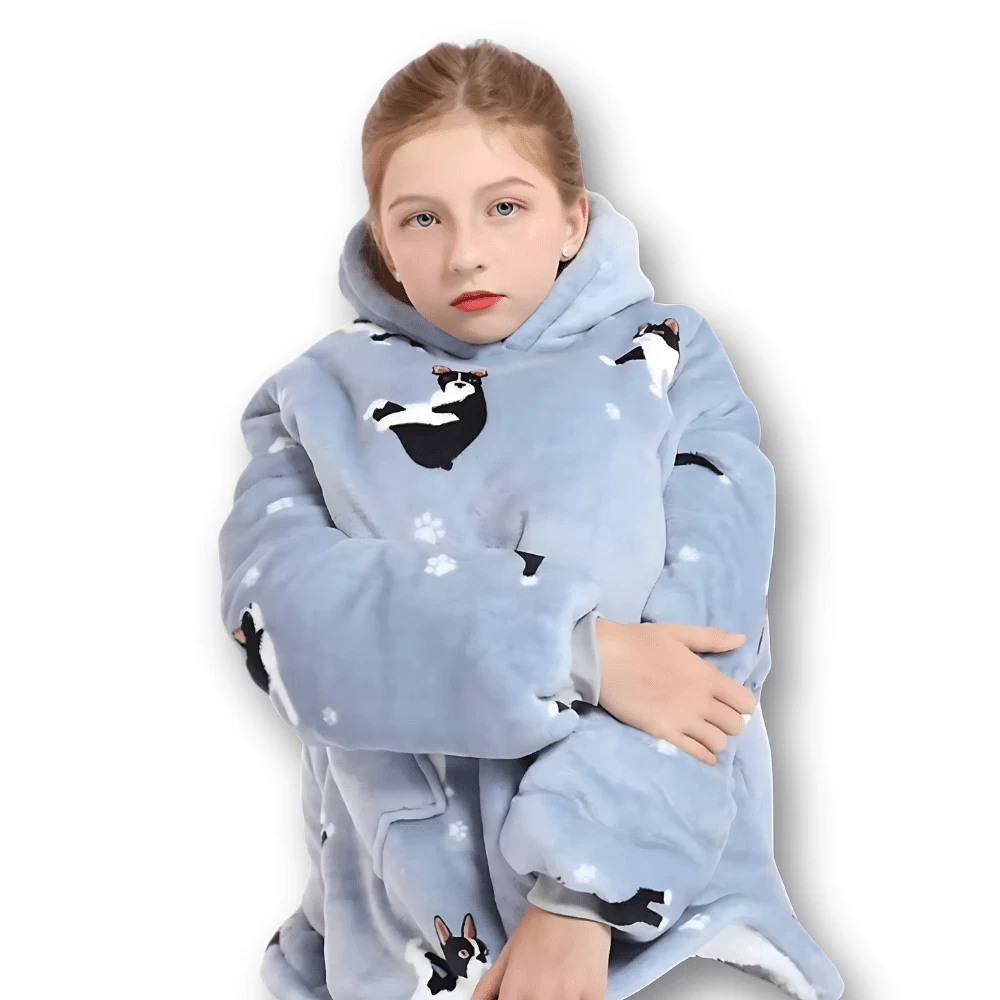 Pull Plaid Bleu Chiens Flying Dogs 6 Pull Plaid Bleu Chiens Flying Dogs – Image 6